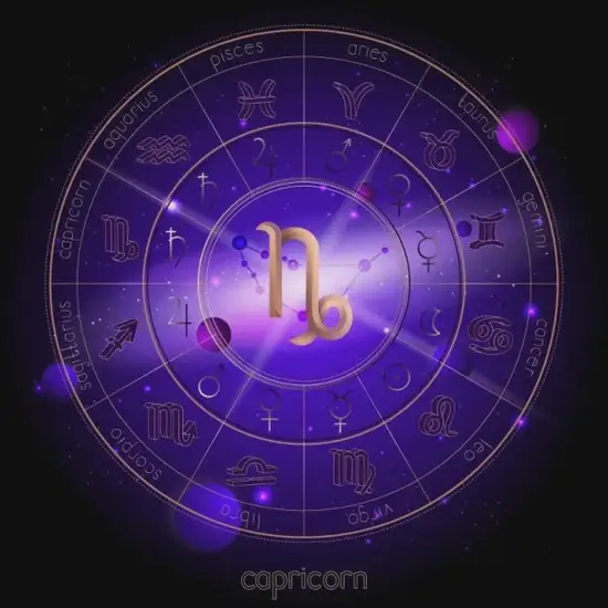 摩羯座思维导图