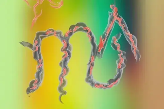 天蝎座今日运势塔罗图