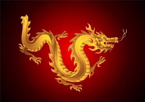 1988年出生的龙族人士：命运挑战与机遇并存