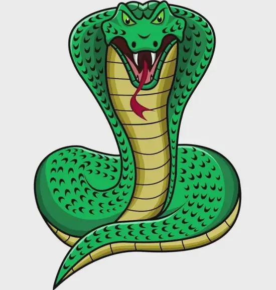 生肖蛇2025年运势解析