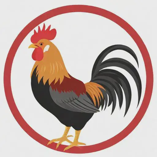 属鸡跟什么属相最配对最好呢女生：属鸡跟什么属相最配