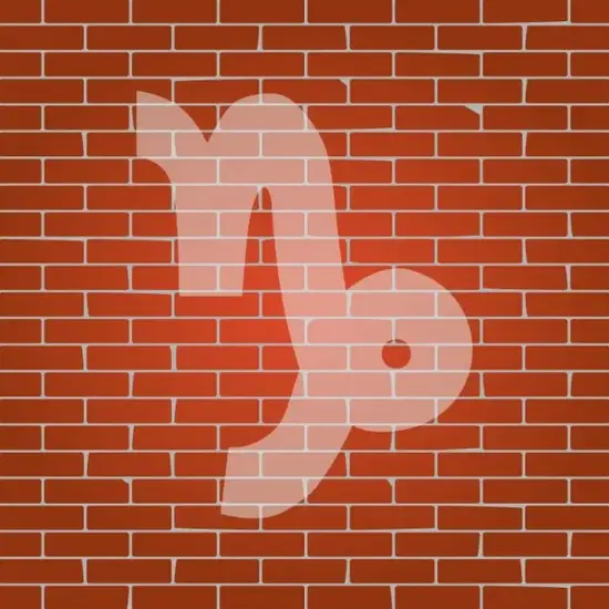 摩羯座冬至关联分析