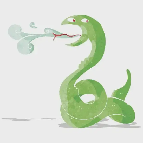 生肖蛇五行解析