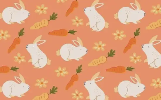 生肖兔无心脏传说