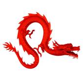 1988年出生的龙族人士：命运挑战与机遇并存