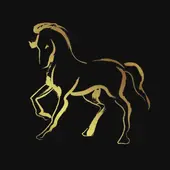 属马今日财运解析：吉位、禁忌、招财技巧一网打尽