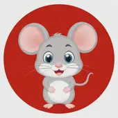 属鼠的今年都多大了那年出生：属鼠的今年多大年龄表