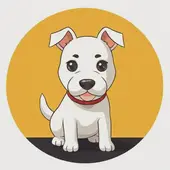 脑筋急转弯12生肖没有尾巴的梗