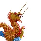 2024年88年龙女运势及运程（2024年88年属龙女性运势全析）