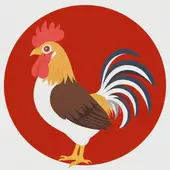 93年属鸡配什么属相最好婚姻：93年的鸡和什么属相最配