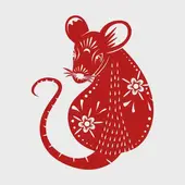 十二生肖起源英语怎么说：文化溯源与英文表达解析