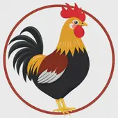 属鸡跟什么属相最配对最好呢女生：属鸡跟什么属相最配