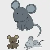 2025免费算命全年运势解析：精准预测每月运程