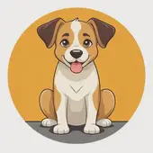 82年属狗的跟什么属相最配