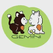 双子座今日运势全攻略：2025年2月9日具体解析