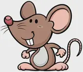 十二生肖儿歌拼音大全：12首经典童谣早教必备