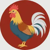 属鸡三合和三冲属相婚配好吗女：属鸡的三合和六个合生肖是什么意思