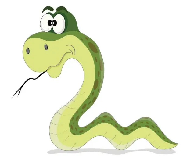 12生肖谁最无情无义？心肝肺缺失生肖解密  第1张