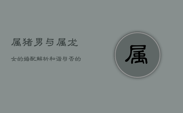 属猪男与属龙女的婚配解析：和谐与否的关键  第1张