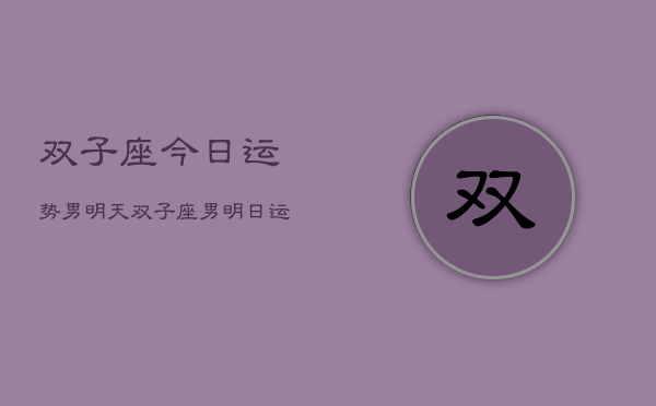 双子座今日运势男明天，双子座男明日运势详解  第1张