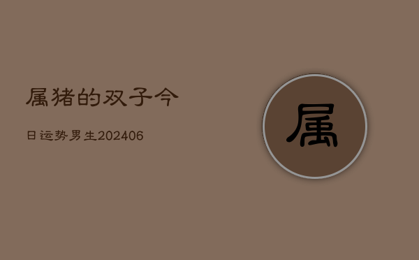 属猪的双子今日运势男生(6月22日)  第1张
